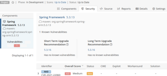 Details zu der im Projekt gefundenen Sicherheitslücke mit einer Empfehlung zur Aktualisierung auf eine sichere Version.