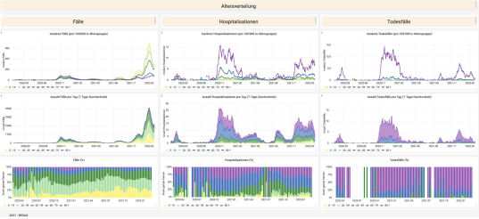 Übersichtlich, klar und aussagekräftig ist das schlussendliche Cockpit