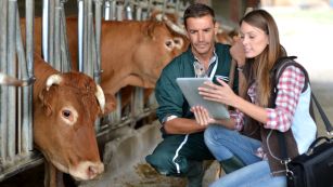 ACmobile // Kontrollen direkt vor Ort elektronisch abschliessen